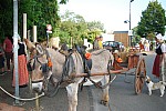 DSC_0213.jpg DSC_0213.jpg