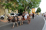 DSC_0214.jpg DSC_0214.jpg