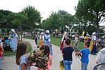 DSC_0252.jpg DSC_0252.jpg