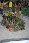 DSC_0260.jpg DSC_0260.jpg