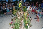 DSC_0264.jpg DSC_0264.jpg