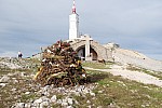 DSC_0153.jpg DSC_0153.jpg